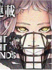 V字仇杀队